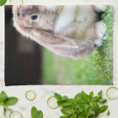 Linge De Cuisine lapin à oreilles de lop mignon (Plié)