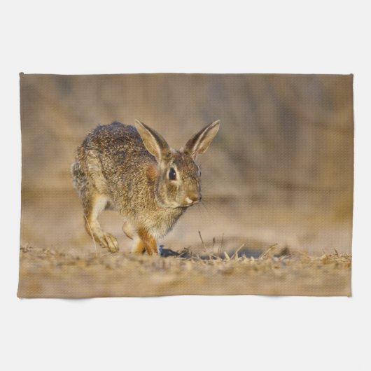 Linge De Cuisine lapin à queue blanche sautant (Horizontal)