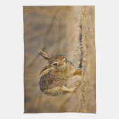 Linge De Cuisine lapin à queue blanche sautant (Vertical)