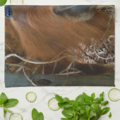 Linge De Cuisine Lapin de Pâques et cheval Brown (Plié)