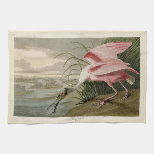 Linge De Cuisine Le bec-de-rose des Oiseaux d'Amérique d'Audubon (Horizontal)