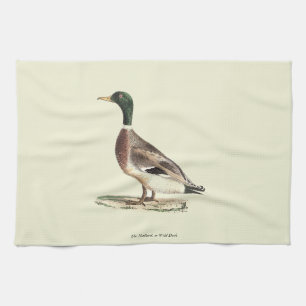 Linge De Cuisine Le canard colvert ou sauvage (Anas platyrhynchos)