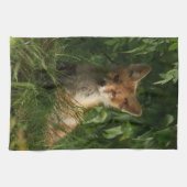 Linge De Cuisine Le chou renard dans une forêt verte (Horizontal)