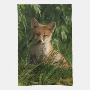 Linge De Cuisine Le chou renard dans une forêt verte