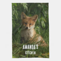 Le chou renard dans une forêt verte