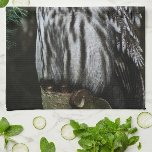 Linge De Cuisine Le kta Great Grey Owl (Plié)