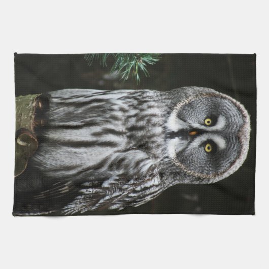 Linge De Cuisine Le kta Great Grey Owl (Horizontal)
