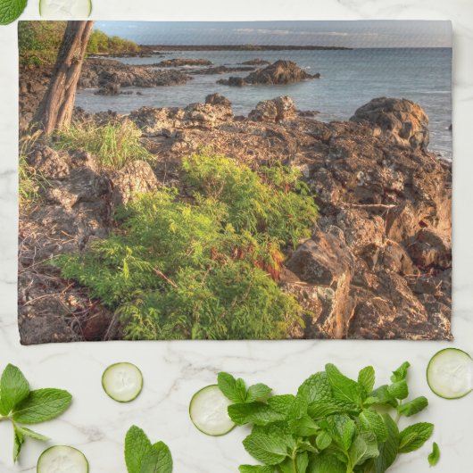 Linge De Cuisine Le littoral de Maui (Plié)