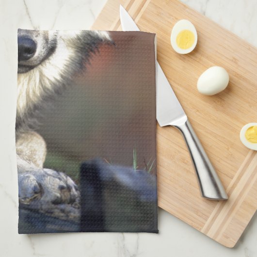 Linge De Cuisine Le loup (Quart Plié)