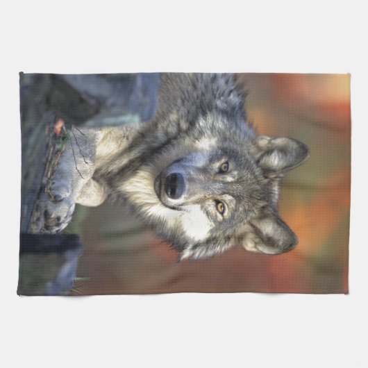 Linge De Cuisine Le loup (Horizontal)