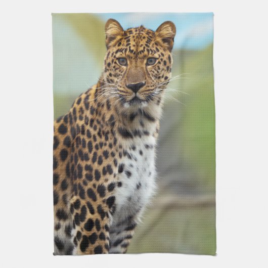 Linge De Cuisine Leopard (Vertical)