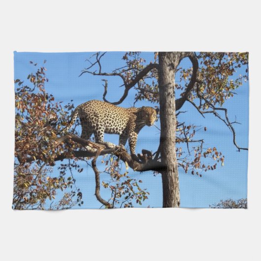 Linge De Cuisine Leopard dans un arbre en Afrique (Horizontal)