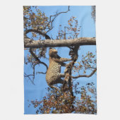 Linge De Cuisine Leopard dans un arbre en Afrique (Vertical)