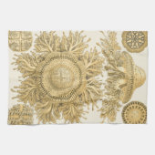 Linge De Cuisine Les créatures de la mer d'or (Horizontal)