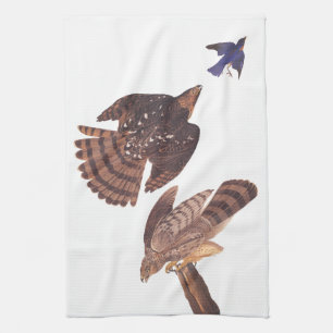 Linge De Cuisine Les Hawks de Stanley d'Audubon chassent un oiseau