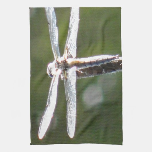 Linge De Cuisine libellule gris clair (Vertical)