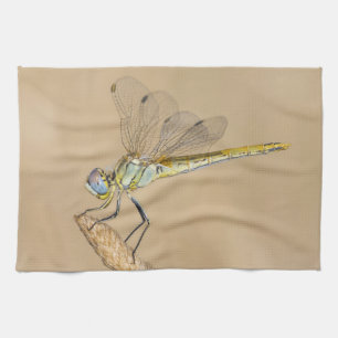 Linge De Cuisine Libellule Skimmer Insecte Femelle (CC BY 4.0)