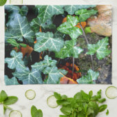 Linge De Cuisine Lierre et pierre de champ (Plié)