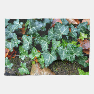 Linge De Cuisine Lierre et pierre de champ