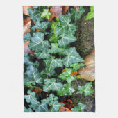 Linge De Cuisine Lierre et pierre de champ (Vertical)