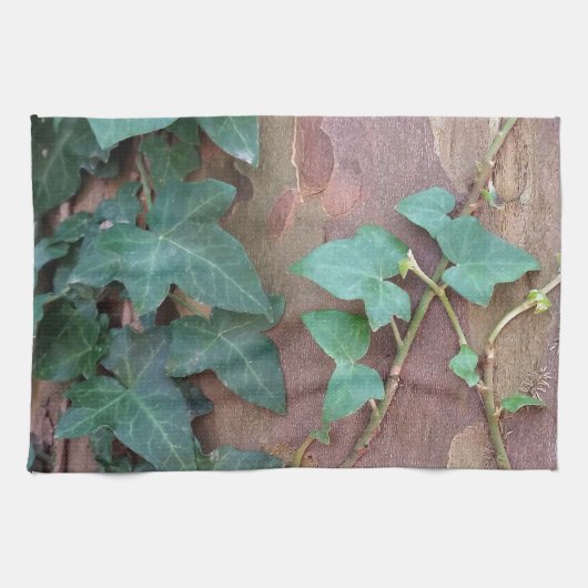 Linge De Cuisine lierre sur arbre (Horizontal)