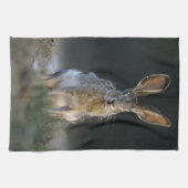 Linge De Cuisine Lièvre à queue noire, Lepus californicus, 2 (Horizontal)