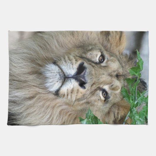 Linge De Cuisine Lion 002 (Horizontal)