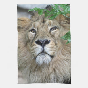 Linge De Cuisine Lion 002