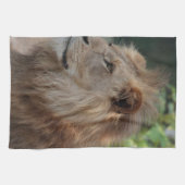 Linge De Cuisine Lion 035 (Horizontal)