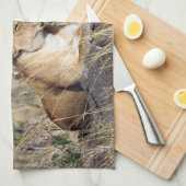 Linge De Cuisine Lioness resting (Quart Plié)