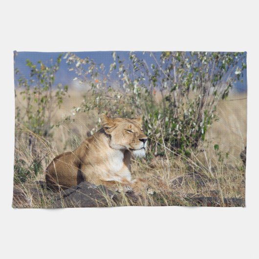 Linge De Cuisine Lioness resting (Horizontal)