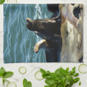 Linge De Cuisine Lions de la mer de San Diego (Plié)