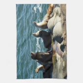 Linge De Cuisine Lions de la mer de San Diego (Vertical)