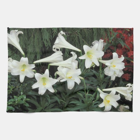 Linge De Cuisine Lis de Pâques (Lilium regale) (Horizontal)