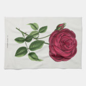 Linge De Cuisine Lithographie de rose antique, François-Frédéric Gr (Horizontal)