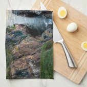 Linge De Cuisine Littoral | Parc national Acadia, Maine (Quart Plié)