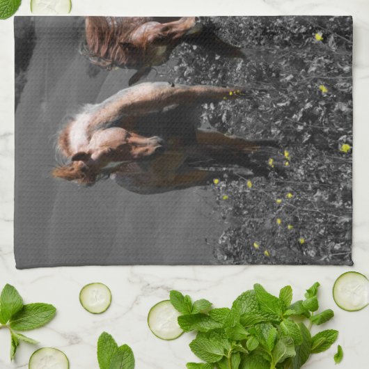 Linge De Cuisine Longeron d'étalon (Plié)