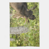Linge De Cuisine L'orignal (Vertical)