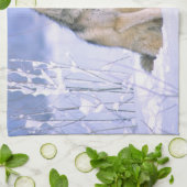 Linge De Cuisine Loup de bois assis dans la neige, Canis lupus, (Plié)