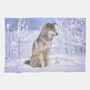 Linge De Cuisine Loup de bois assis dans la neige, Canis lupus,