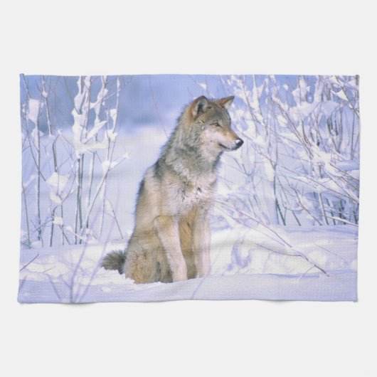 Linge De Cuisine Loup de bois assis dans la neige, Canis lupus, (Horizontal)