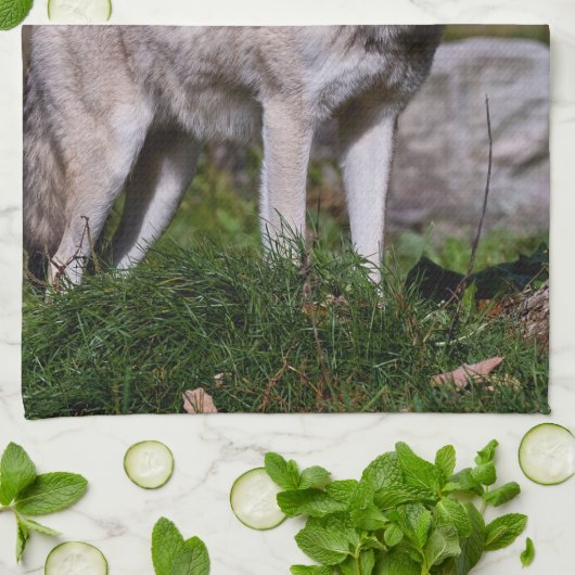 Linge De Cuisine Loup de bois de l'Est (Plié)