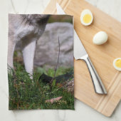 Linge De Cuisine Loup de bois de l'Est (Quart Plié)