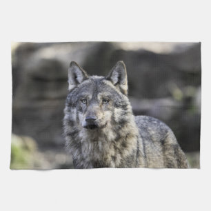 Linge De Cuisine Loup gris