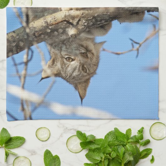 Linge De Cuisine Lynx espiègle (Plié)