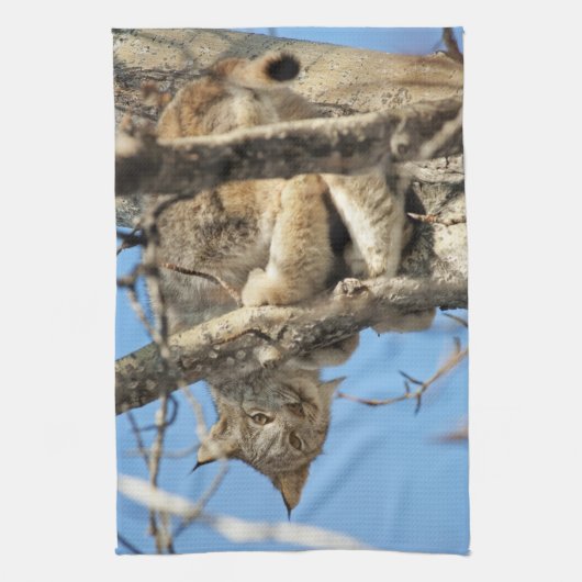 Linge De Cuisine Lynx espiègle (Vertical)