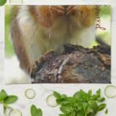 Linge De Cuisine M. Bickles (Plié)