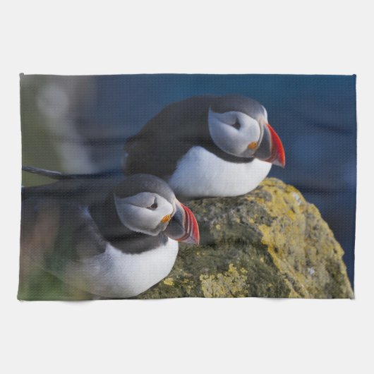 Linge De Cuisine Macareux atlantique (Horizontal)