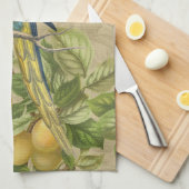 Linge De Cuisine Macaw Blue Jaune Tropical Jungle Antique (Quart Plié)