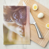 Linge De Cuisine Magnifique bulldog français allongé (Quart Plié)